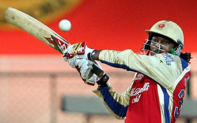 Visitor for Gayle-struck fan